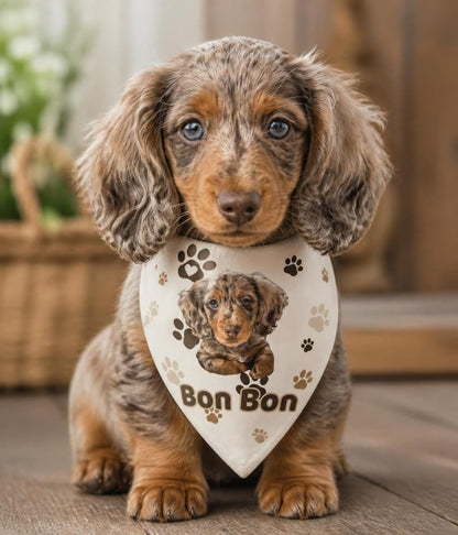 Our Signature Matching Owner & Pet Bandanas