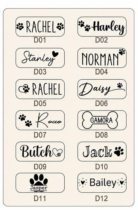 Custom Engraved Stainless Steel Double Pet Bowl | Personalized Dog & Cat Food & Water Feeding Station