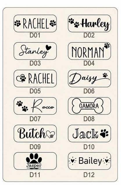 Custom Engraved Stainless Steel Double Pet Bowl | Personalized Dog & Cat Food & Water Feeding Station