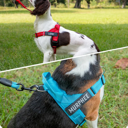 Custom Name Adjustable Reflective Walking & Training Dog Harness and Leash