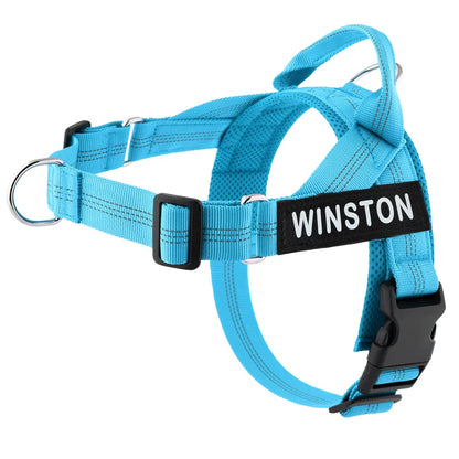Custom Name Adjustable Reflective Walking & Training Dog Harness and Leash