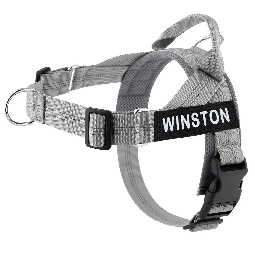 Custom Name Adjustable Reflective Walking & Training Dog Harness and Leash