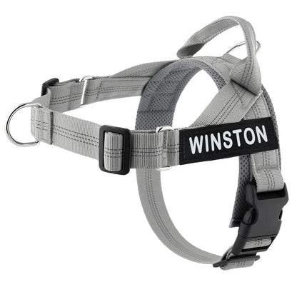 Custom Name Adjustable Reflective Walking & Training Dog Harness and Leash