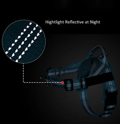 Custom Name Adjustable Reflective Walking & Training Dog Harness and Leash