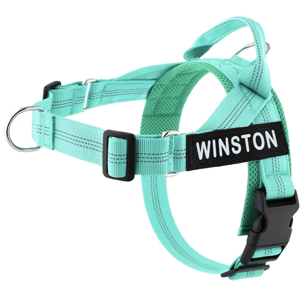 Custom Name Adjustable Reflective Walking & Training Dog Harness and Leash