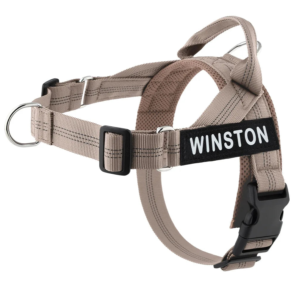 Custom Name Adjustable Reflective Walking & Training Dog Harness and Leash