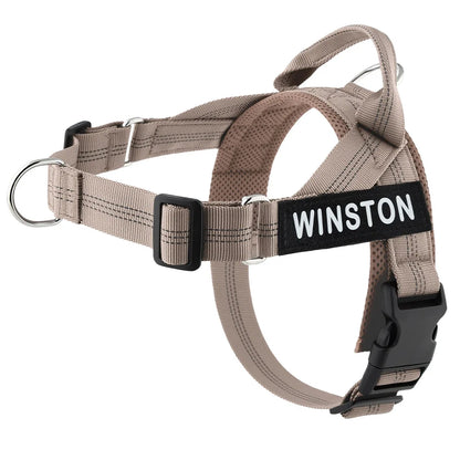 Custom Name Adjustable Reflective Walking & Training Dog Harness and Leash