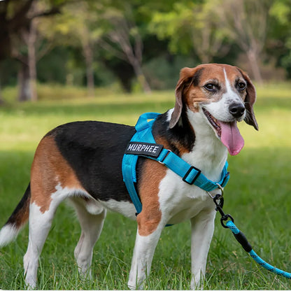 Custom Name Adjustable Reflective Walking & Training Dog Harness and Leash
