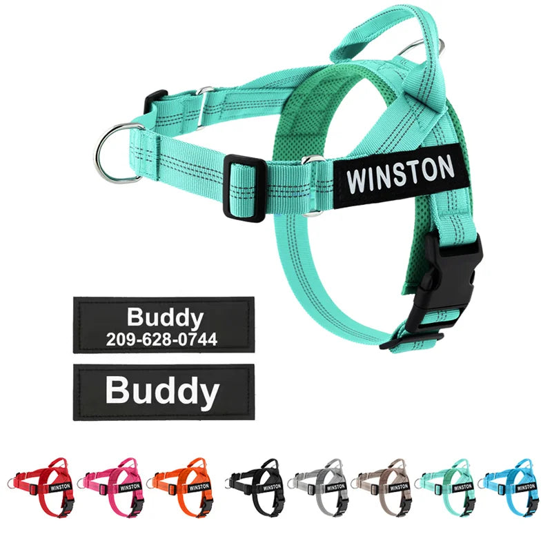 Custom Name Adjustable Reflective Walking & Training Dog Harness and Leash