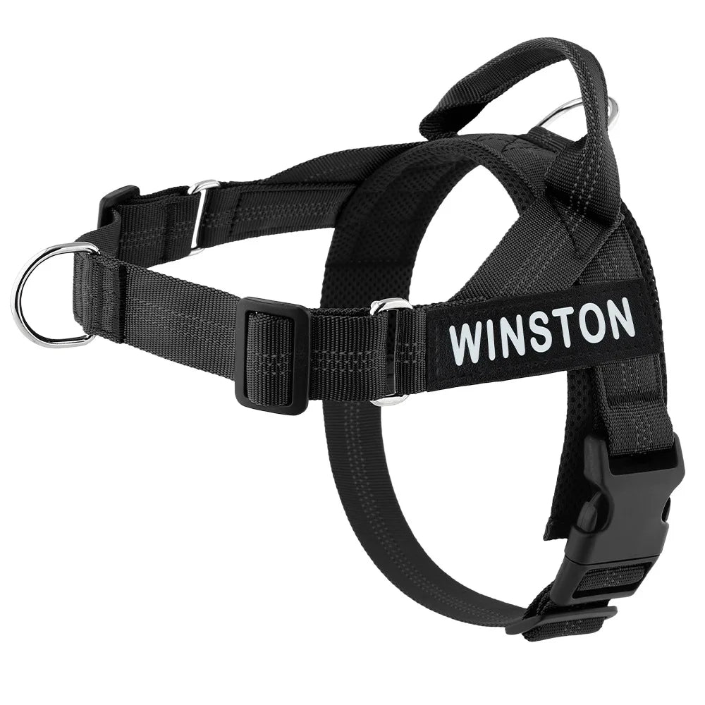 Custom Name Adjustable Reflective Walking & Training Dog Harness and Leash