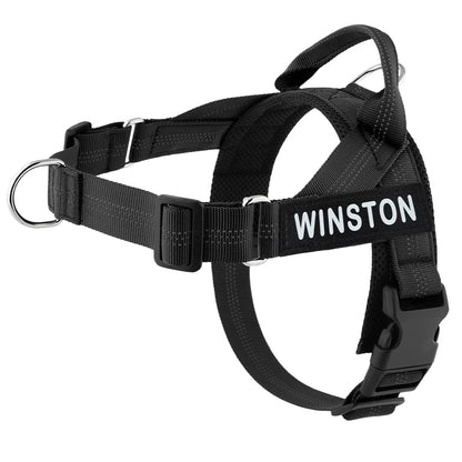 Custom Name Adjustable Reflective Walking & Training Dog Harness and Leash