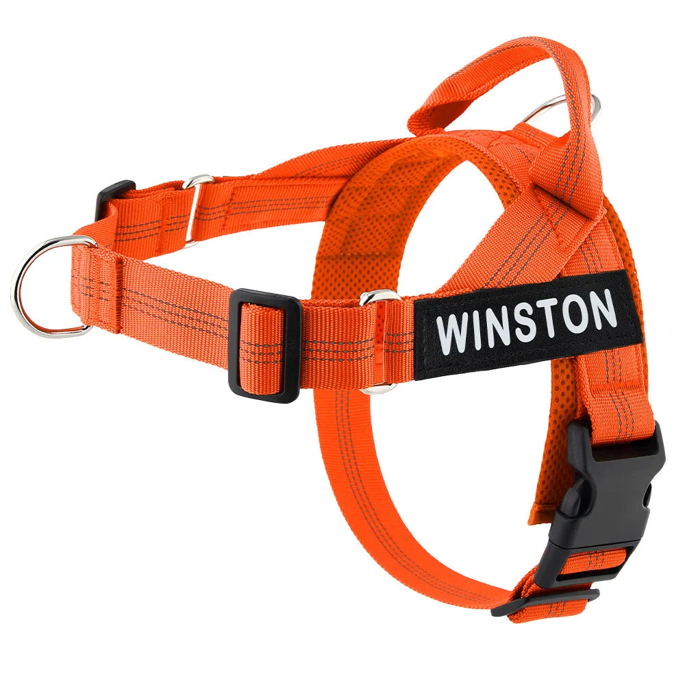 Custom Name Adjustable Reflective Walking & Training Dog Harness and Leash