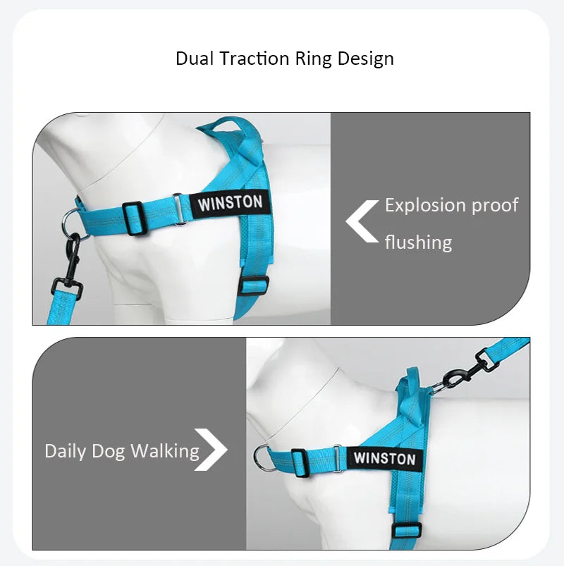 Custom Name Adjustable Reflective Walking & Training Dog Harness and Leash