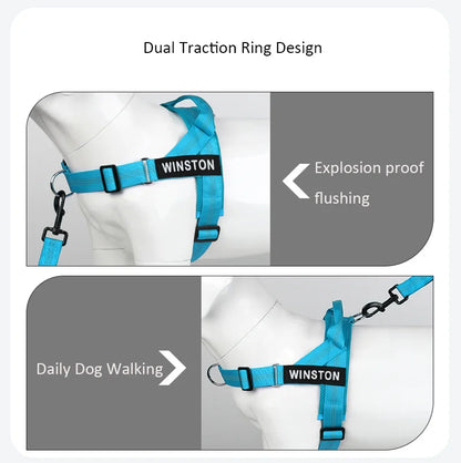 Custom Name Adjustable Reflective Walking & Training Dog Harness and Leash