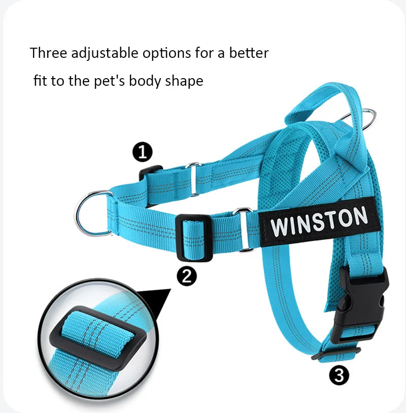 Custom Name Adjustable Reflective Walking & Training Dog Harness and Leash