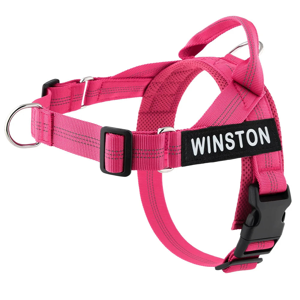 Custom Name Adjustable Reflective Walking & Training Dog Harness and Leash