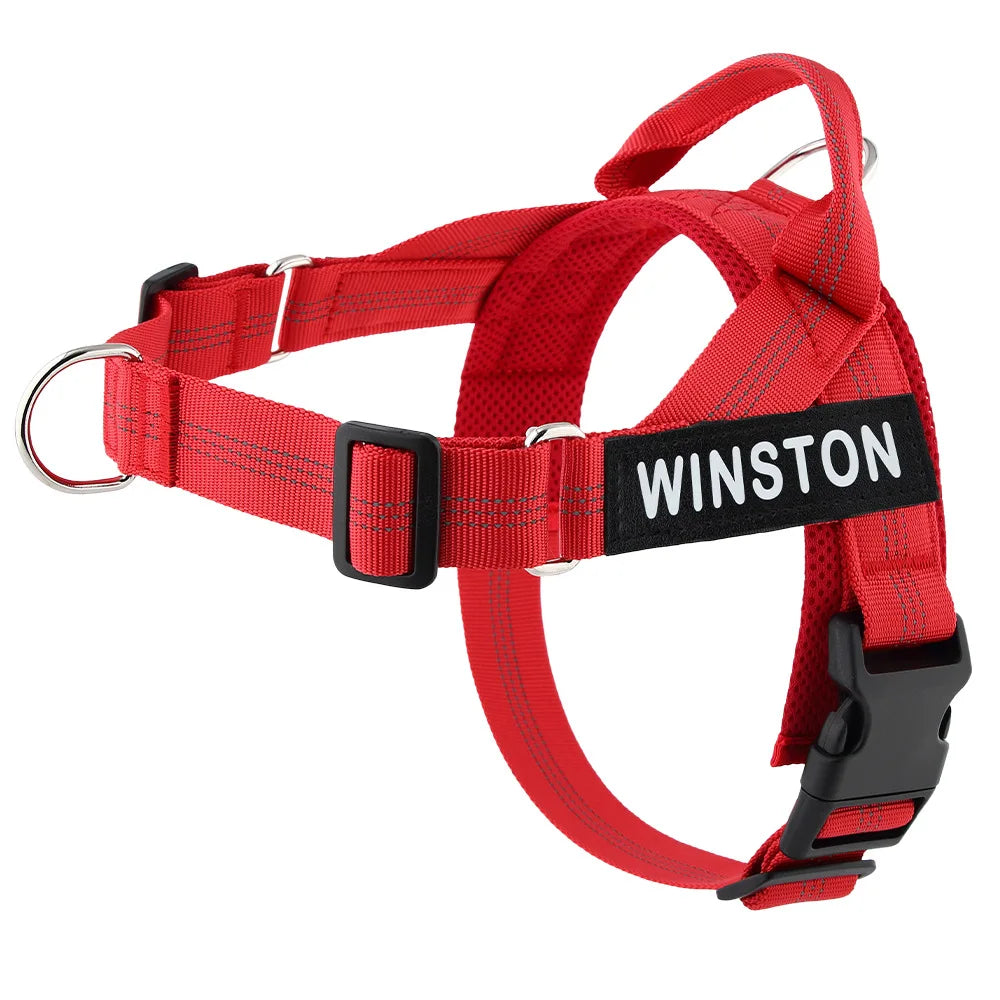 Custom Name Adjustable Reflective Walking & Training Dog Harness and Leash