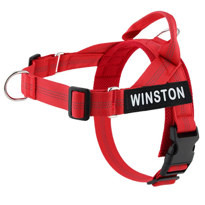 Custom Name Adjustable Reflective Walking & Training Dog Harness and Leash