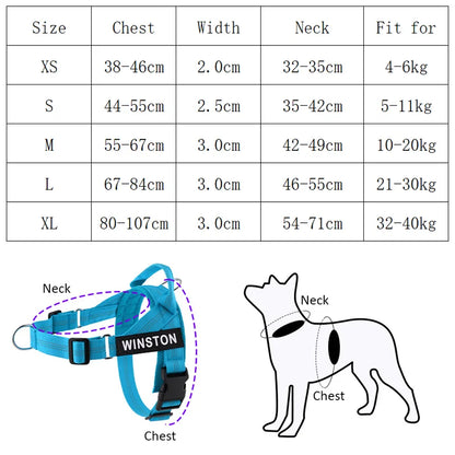 Custom Name Adjustable Reflective Walking & Training Dog Harness and Leash
